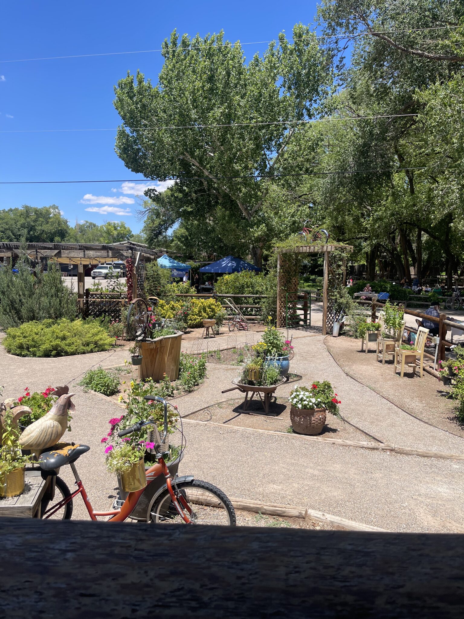 Bike in Coffee at Old Town Farm Candle